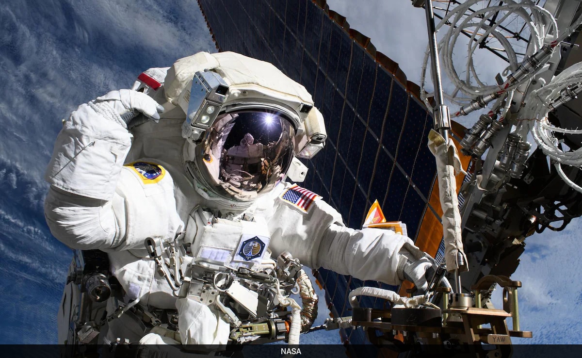 The Art of Baking: From Classic Bread to Artisan Pastries