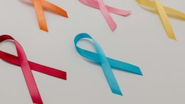 Scientists Develop Oxygen-Tolerant Bacteria To Fight Cancer