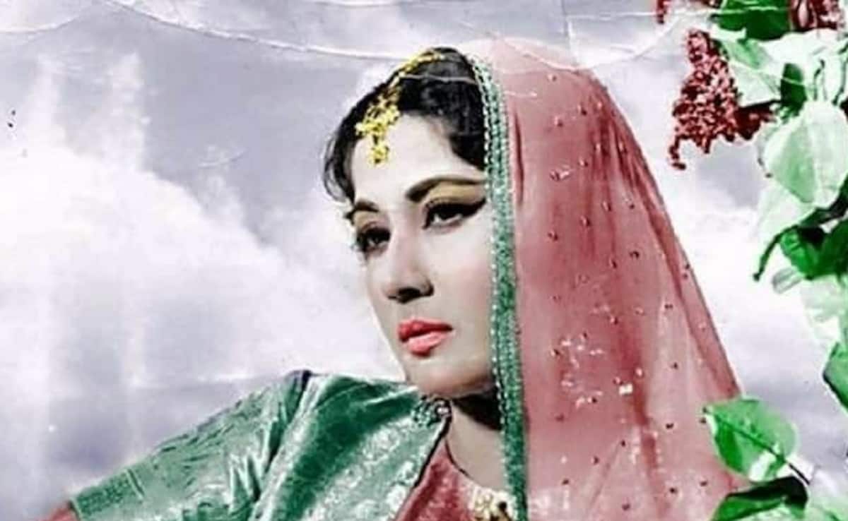 मीना कुमारी की 10 फोटो,  4 साल की उम्र में बनी परिवार का सहारा, 13 में एक्ट्रेस, 38 में निधन, कहलाई ट्रेजेडी क्वीन