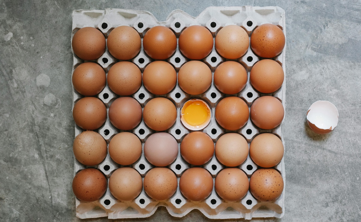 एक्सपायर अंडा खाने से सेहत को क्या होते हैं नुकसान?