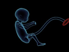 अब इलाज में काम आ रहा है बच्चे का गर्भनाल या प्लेसेंटा, घाव भरने से लेकर आंखों के इलाज तक कर रहा मदद