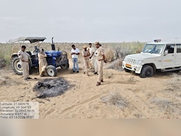 जैसलमेर: दुर्लभ कैरेकल बिल्ली को जलाकर मारने पर 3 गिरफ्तार, रेतीले टीले में मिला आधा जला शव