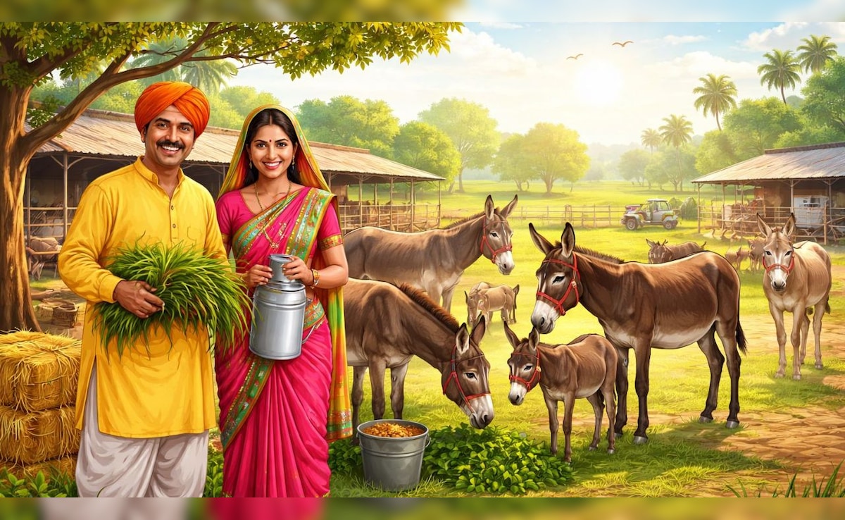 नौकरी छोड़िए, गधे पालिए! सरकार दे रही 50 लाख रुपये, जानिए क्या है पूरी स्कीम