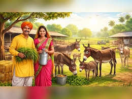 नौकरी छोड़िए, गधे पालिए! सरकार दे रही 50 लाख रुपये, जानिए क्या है पूरी स्कीम