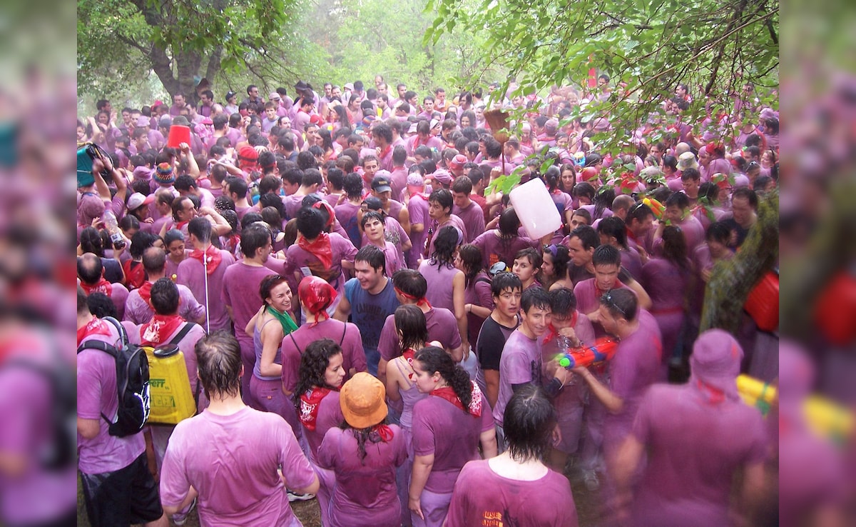 Latest and Breaking News on NDTV