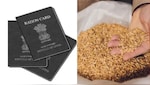अपने गांव के राशन कार्ड की लिस्ट कैसे देखें? इस तरह पता चल जाएगा कोई फर्जी राशन ले रहा है या नहीं