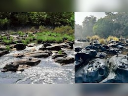 कर्नाटक की वो नदी, जिसके पत्थरों पर बसे हैं हजारों शिव, पानी कम होते ही दिखता है अद्भुत नजारा