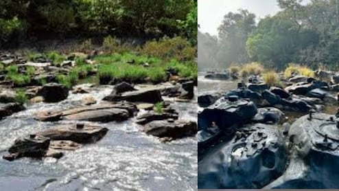 कर्नाटक की वो नदी, जिसके पत्थरों पर बसे हैं हजारों शिव, पानी कम होते ही दिखता है अद्भुत नजारा