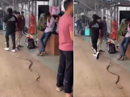रेलवे प्लेटफॉर्म पर सांप लेकर घूम रहा था शख्स! डर से भागने लगे यात्री, Video वायरल होते ही मचा बवाल