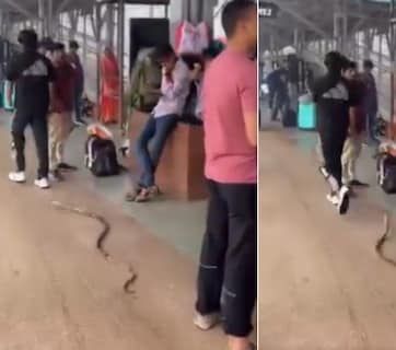 रेलवे प्लेटफॉर्म पर सांप लेकर घूम रहा था शख्स! डर से भागने लगे यात्री, Video वायरल होते ही मचा बवाल