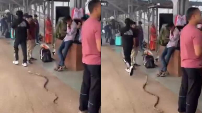 रेलवे प्लेटफॉर्म पर सांप लेकर घूम रहा था शख्स! डर से भागने लगे यात्री, Video वायरल होते ही मचा बवाल