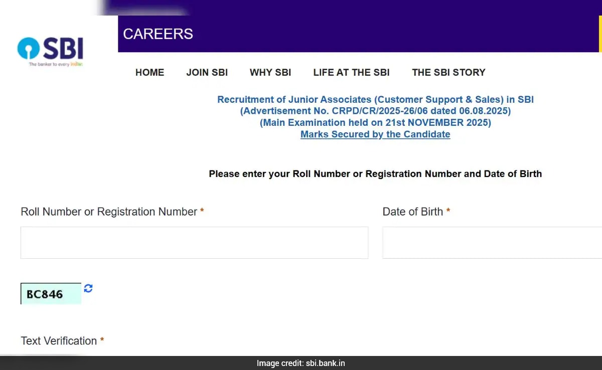SBI Clerk Mains Scorecards 2026 Out, Here's Direct Link To Download