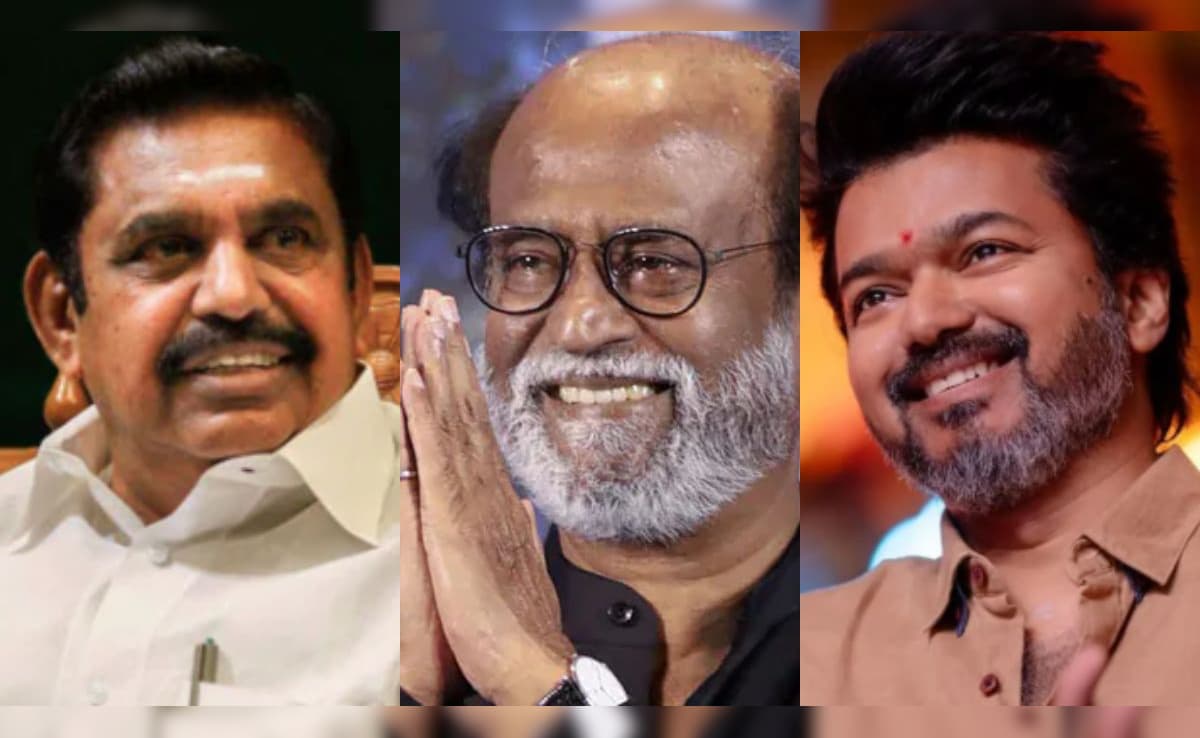 The Art of Baking: From Classic Bread to Artisan Pastries