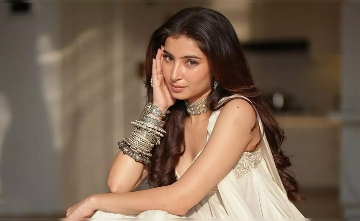 धुरंधर ने बदली सारा अर्जुन की किस्मत, हाथ लगी जोया अख्तर की फिल्म, रणवीर के बाद अब इनके साथ करेंगी रोमांस