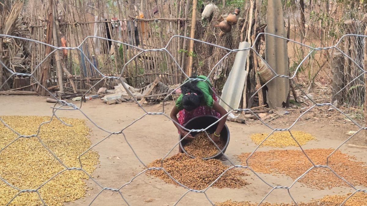 Latest and Breaking News on NDTV Latest and Breaking News on NDTV