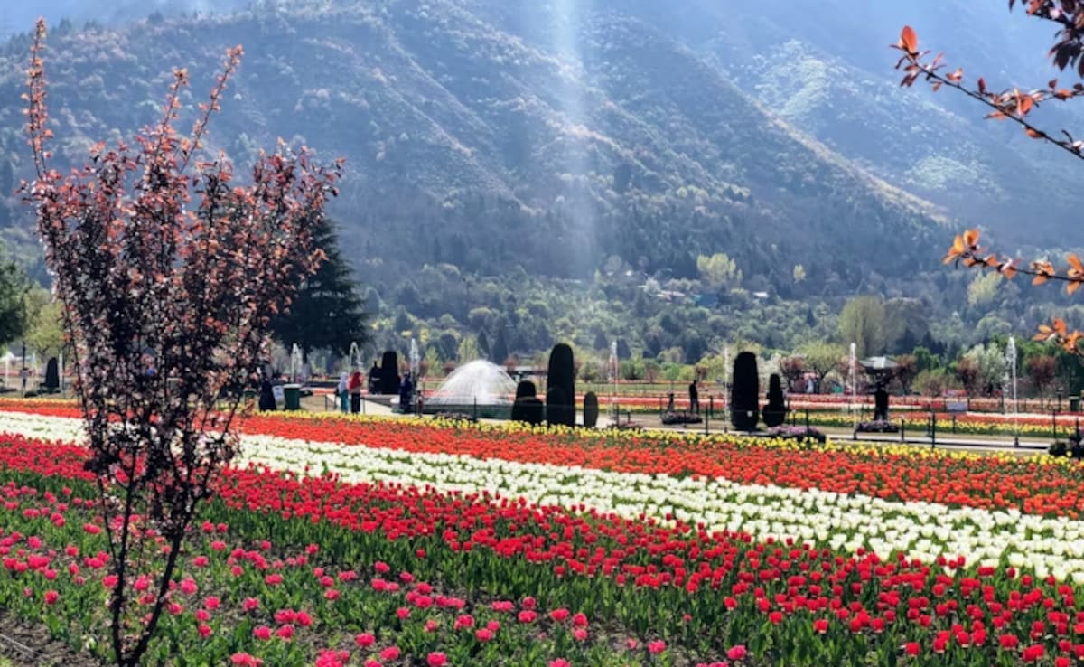 Latest and Breaking News on NDTV