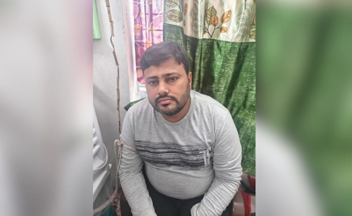 The Art of Baking: From Classic Bread to Artisan Pastries