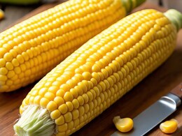 सावधान! भुट्टे के चमकदार दाने आपके लिए बन सकते हैं खतरा, इन 5 संकेतों को कभी न करें नजरअंदाज