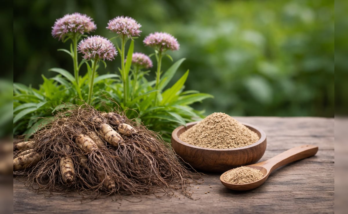 तनाव कम करने और नींद बेहतर करने में मदद करती है यह खास जड़ी-बूटी