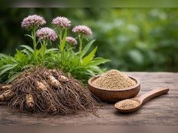 तनाव कम करने और नींद बेहतर करने में मदद करती है यह खास जड़ी-बूटी