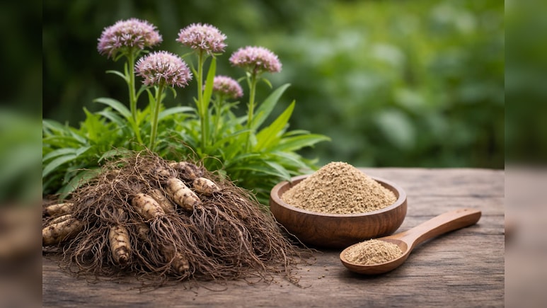 तनाव कम करने और नींद बेहतर करने में मदद करती है यह खास जड़ी-बूटी