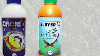 GSP Crop Science IPO GMP In Focus On Final Day Of Subscription - What Investors Should Know