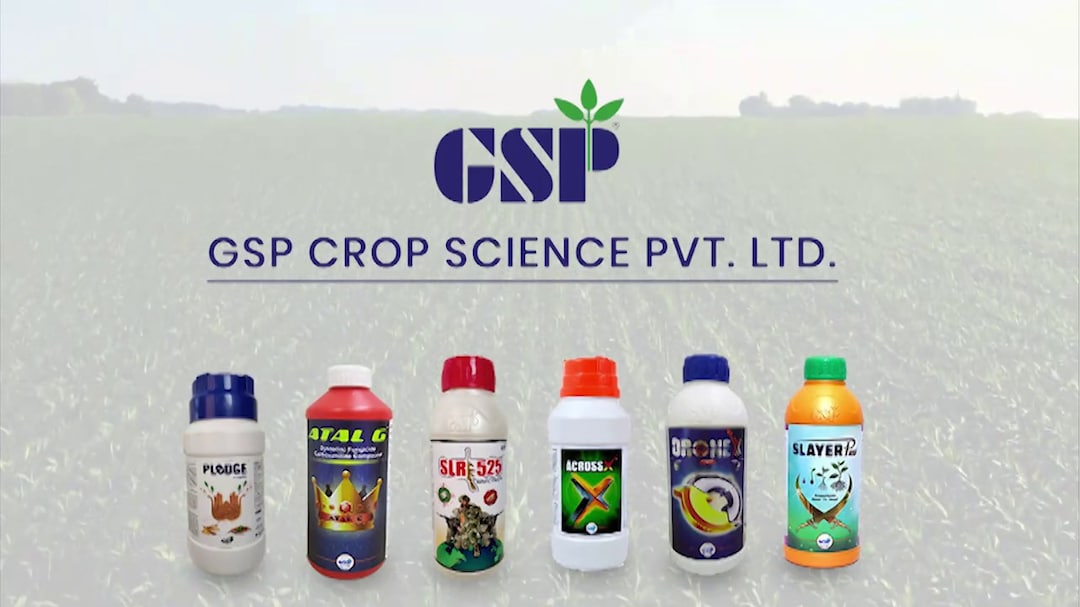 GSP Crop Science IPO GMP Today - What Investors Should Know?