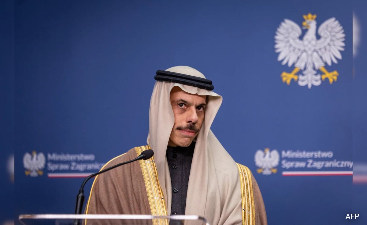 'Gulf States Have Significant Capabilities': Saudi's Big Warning To Iran