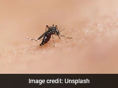 Study Finds How Mosquitoes Decide To Attack Someone: "Attracted By Same Cues"