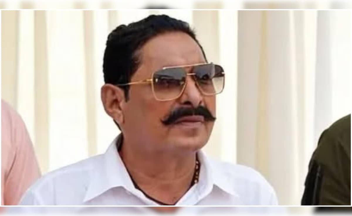 बिहार में नीतीश की जगह अगला सीएम कौन? अनंत सिंह ने NDTV से बता दी अपनी पसंद