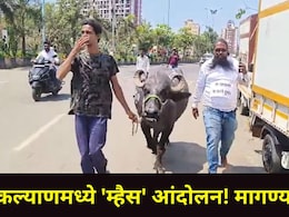 Kalyan News: कल्याणच्या 'या' भागात बिल्डरांचं अतिक्रमण, संतापलेले नागरिक KDMC मध्ये म्हैस घेऊन धडकले, Video