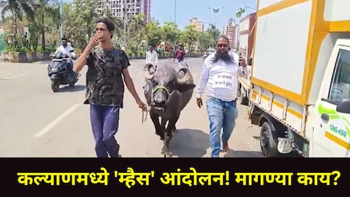 Kalyan News: कल्याणच्या 'या' भागात बिल्डरांचं अतिक्रमण, संतापलेले नागरिक KDMC मध्ये म्हैस घेऊन धडकले, Video