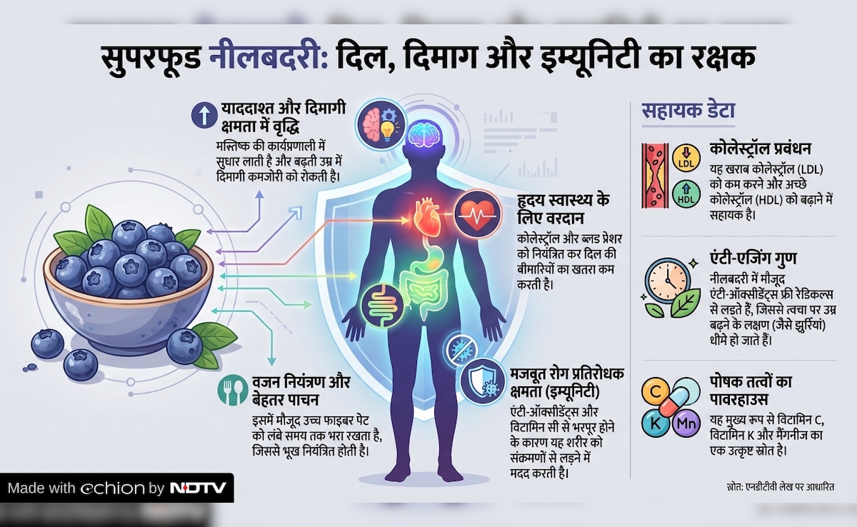 Latest and Breaking News on NDTV