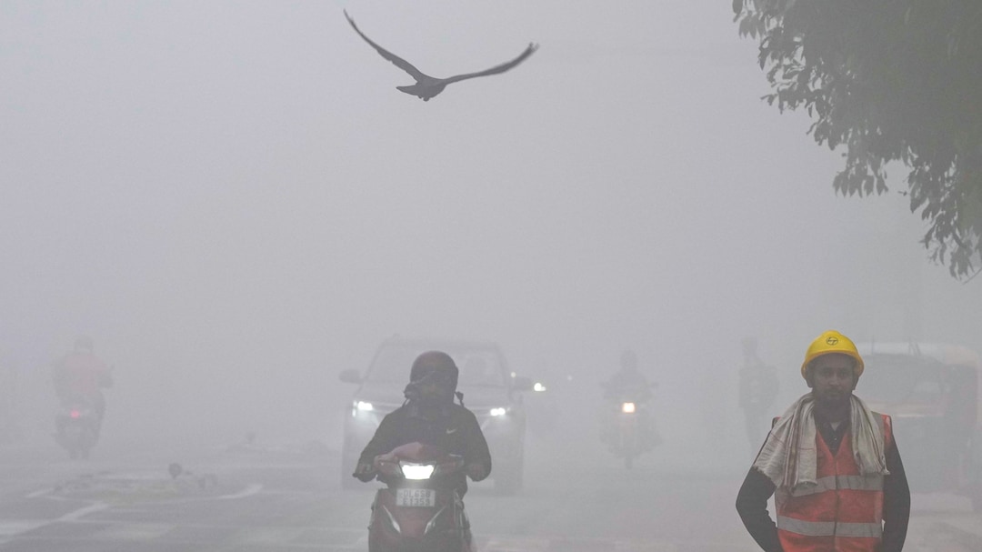 Delhi Gasps For Air: AQI Over 200 On Nearly Every Other Day, Winter Peaks Hit 466