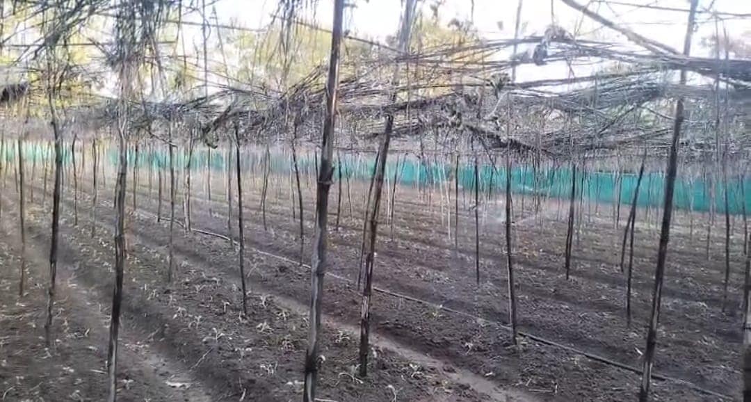 Latest and Breaking News on NDTV Latest and Breaking News on NDTV