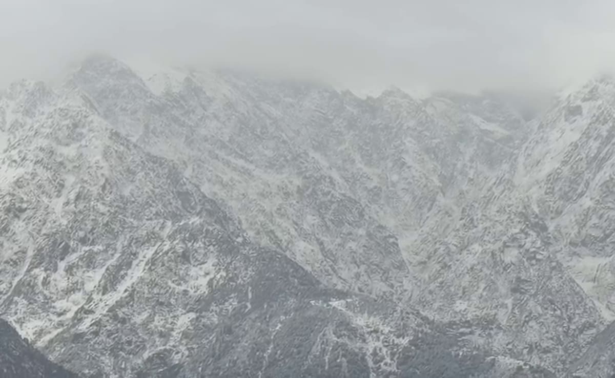 Latest and Breaking News on NDTV