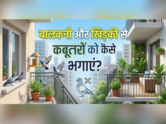 क्या आपके घर की बालकनी और खिड़की में कबूतरों ने डाल रखा है डेरा, तो अपनाएं ये 9 आसान तरीके, दोबारा कभी नजर नहीं आएंगे...