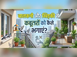 क्या आपके घर की बालकनी और खिड़की में कबूतरों ने डाल रखा है डेरा, तो अपनाएं ये 9 आसान तरीके, दोबारा कभी नजर नहीं आएंगे...