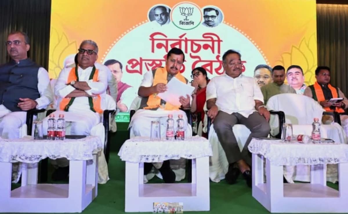 Bengal Polls Battle Between Fear Of Trinamool, Trust In BJP: Nitin Nabin