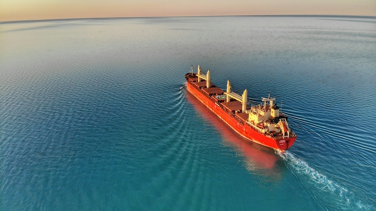 Proceeding Cautiously, With Detailed Risk-Assessment: Govt On 20 Indian Vessels Stuck In Hormuz