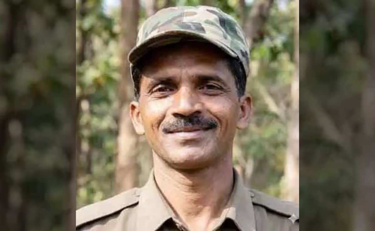 The Art of Baking: From Classic Bread to Artisan Pastries