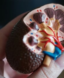 5 Foods To Avoid With Kidney Disease And Diabetes