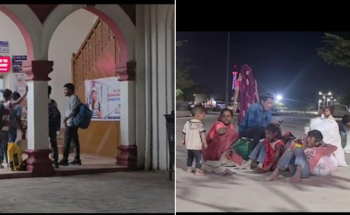 The Art of Baking: From Classic Bread to Artisan Pastries