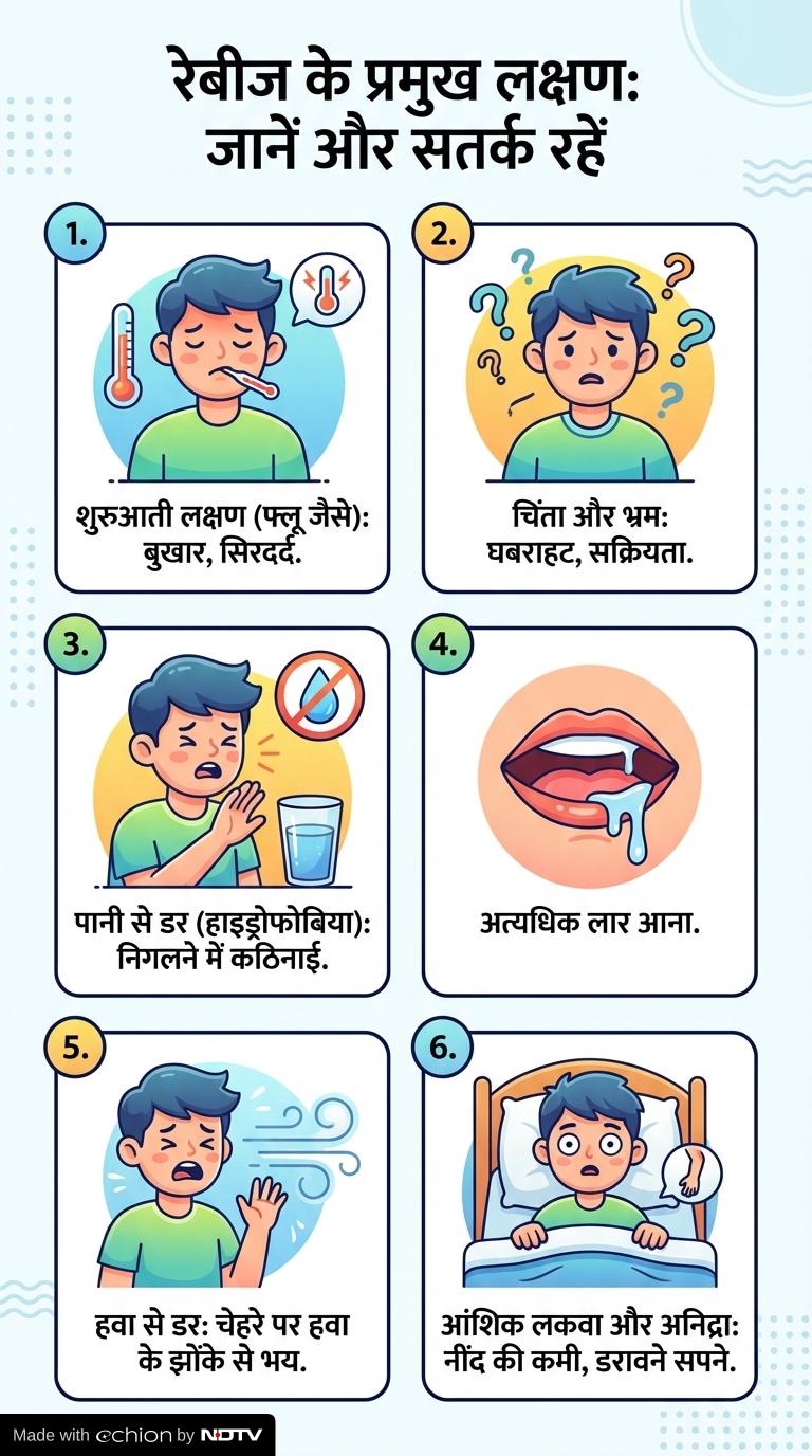 Latest and Breaking News on NDTV