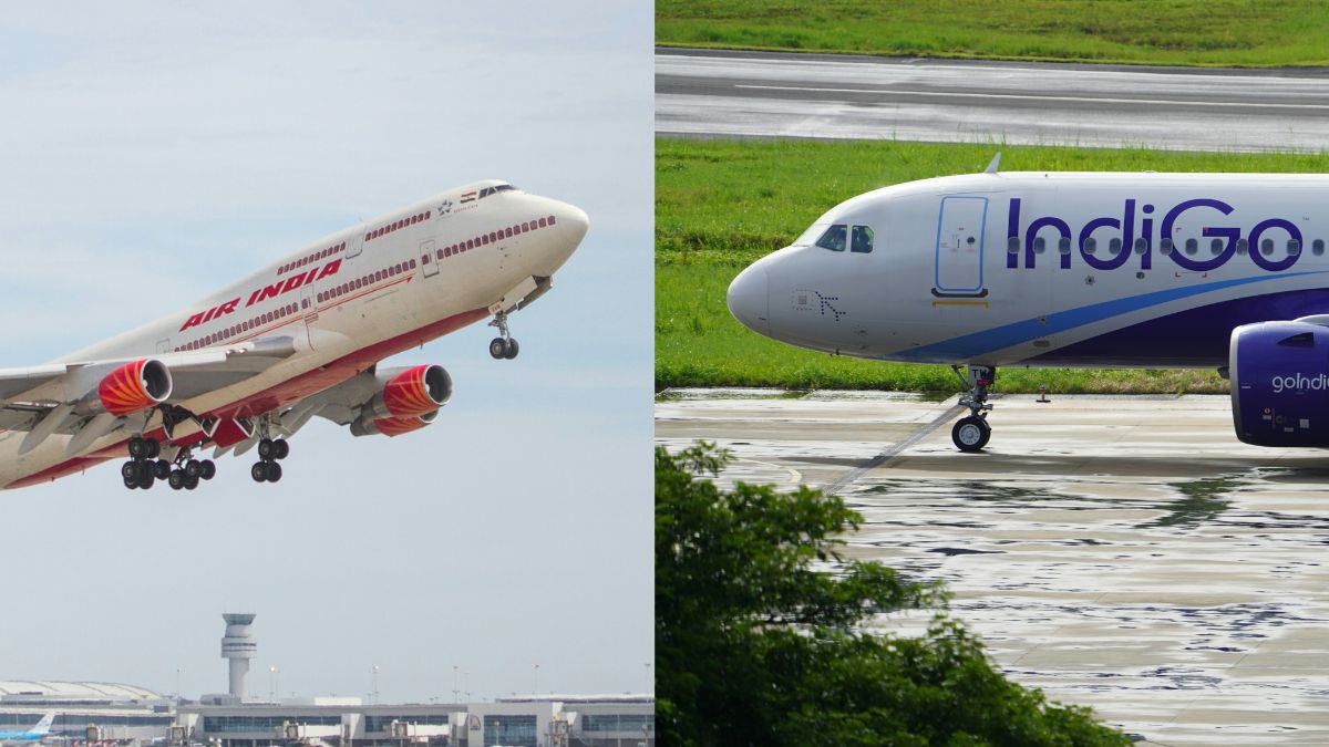IndiGo, Air India Hold 91% Of Domestic Market, Centre Informs Parliament