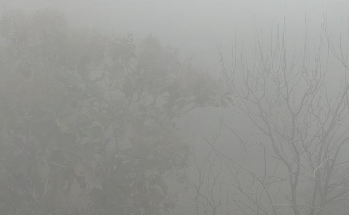 Layer Of Dust In Delhi, Weather Office Dismisses Iran 'Toxic Cloud' Rumours