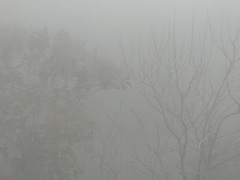 Layer Of Dust In Delhi, Weather Office Dismisses Iran 'Toxic Cloud' Rumours