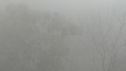 Layer Of Dust In Delhi, Weather Office Dismisses Iran "Toxic Cloud" Rumours