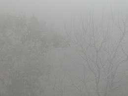 Layer Of Dust In Delhi, Weather Office Dismisses Iran "Toxic Cloud" Rumours