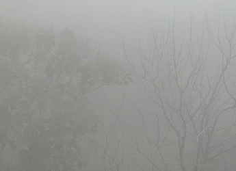 Wildfire Smoke Triggers Unhealthy Air Across United States, Health Alert Issued